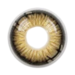 Diamond Sugar Brown