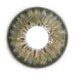 Mocha Brown
