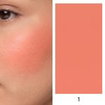 Cheek Blush Stick 01
